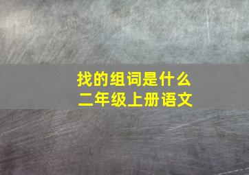 找的组词是什么 二年级上册语文